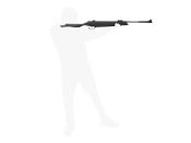 Beeman 10611LVC X2 Dual Caliber Air Rifle