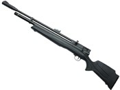 Beeman Chief II Plus-S .22 Cal Pellet Air Rifle