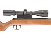 RWS Model 34 Meister Schutze Pro Compact .177 Cal Airgun Pellet Rifle